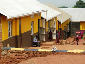 Painted Classrooms with David